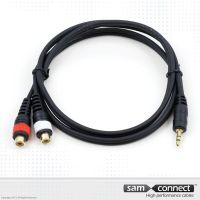 2x RCA naar 3.5mm mini Jack cable, 0.3 m, f/m